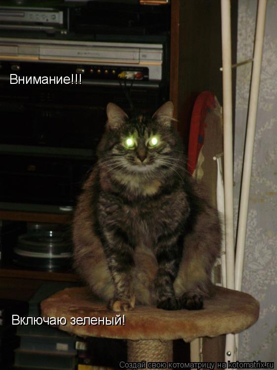 Котоматрица: Внимание!!! Включаю зеленый!