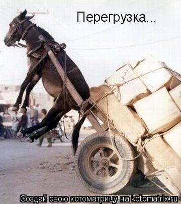 Котоматрица: Перегрузка...