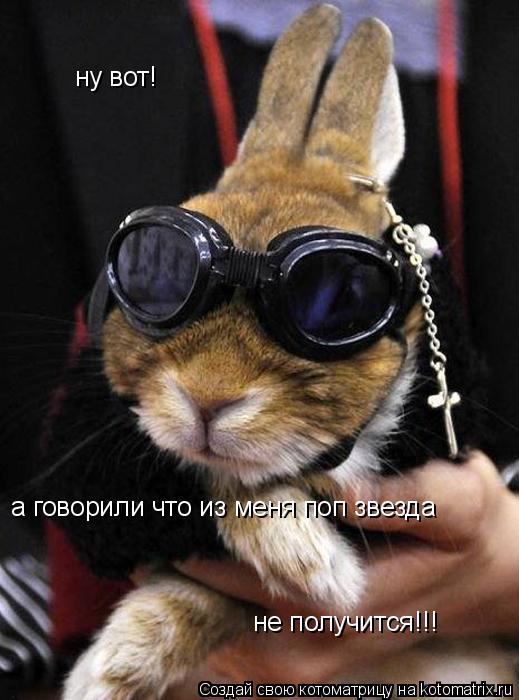 Котоматрица: ну вот! а говорили что из меня поп звезда не получится!!!