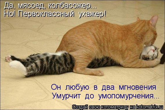 Да, мясоед, колбасожер... Но! Первоклассный ухажер! Умурчит до умопомурчения... Он любую в два ... Котоматрица: Да, мясоед, колбасожер... Но! Первоклассный ухажер! Умурчит до умопомурчения... Он любую в два мгновения