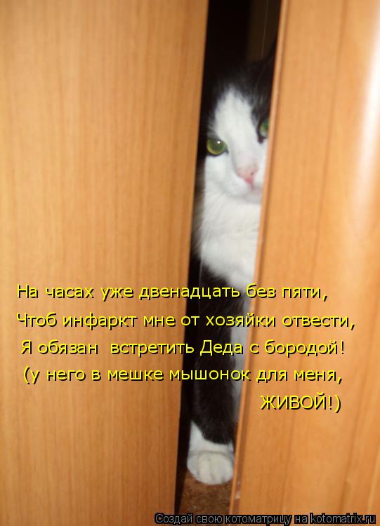 На часах уже двенадцать без пяти, Чтоб инфаркт мне от хозяйки отвести, Я обязан встретить Деда с бо... Котоматрица: На часах уже двенадцать без пяти, Чтоб инфаркт мне от хозяйки отвести, Я обязан встретить Деда с бородой! (у него в мешке мышонок для меня, Ж