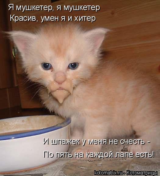 Котоматрица: Я мушкетер, я мушкетер Красив, умен я и хитер И шпажек у меня не счесть - По пять на каждой лапе есть!
