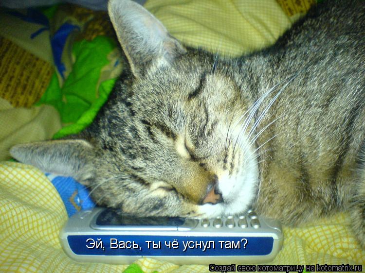 Котоматрица: Эй, Вась, ты чё уснул там?