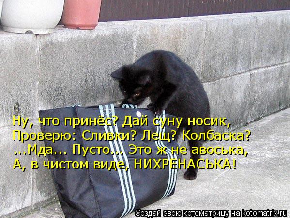Ну, что принёс? Дай суну носик, Проверю: Сливки? Лещ? Колбаска? ...Мда... Пусто... Это ж не авоська, ... Котоматрица: Ну, что принёс? Дай суну носик, Проверю: Сливки? Лещ? Колбаска? ...Мда... Пусто... Это ж не авоська, А, в чистом виде, НИХРЕНАСЬКА!