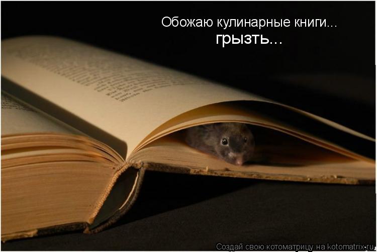 Котоматрица: Обожаю кулинарные книги... грызть...