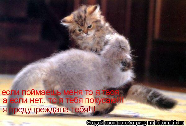 Котоматрица: если поймаешь меня то я твоя, а если нет...то я тебя покусаю!!! я предупреждала тебя!!!