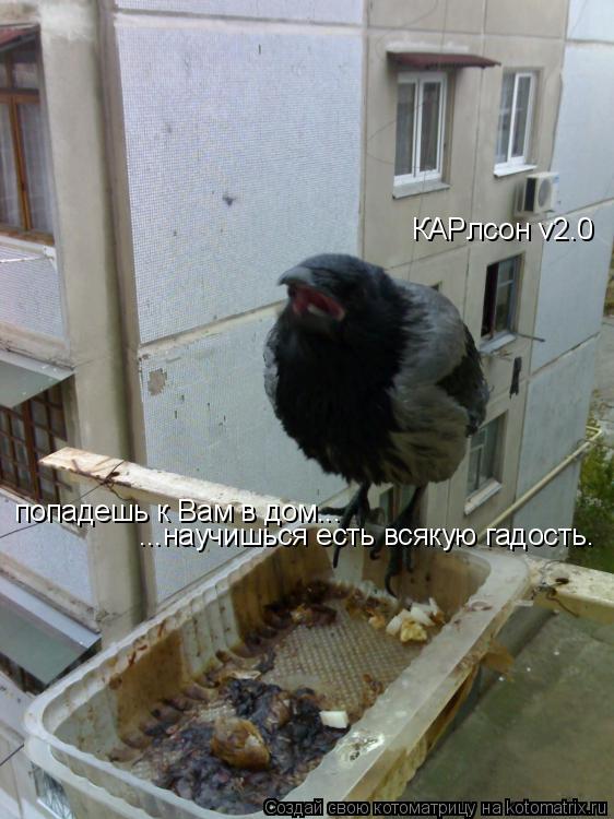 Котоматрица: КАРлсон v2.0 попадешь к Вам в дом... ...научишься есть всякую гадость.