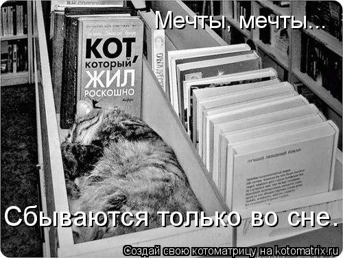 Котоматрица: Мечты, мечты... Сбываются только во сне.