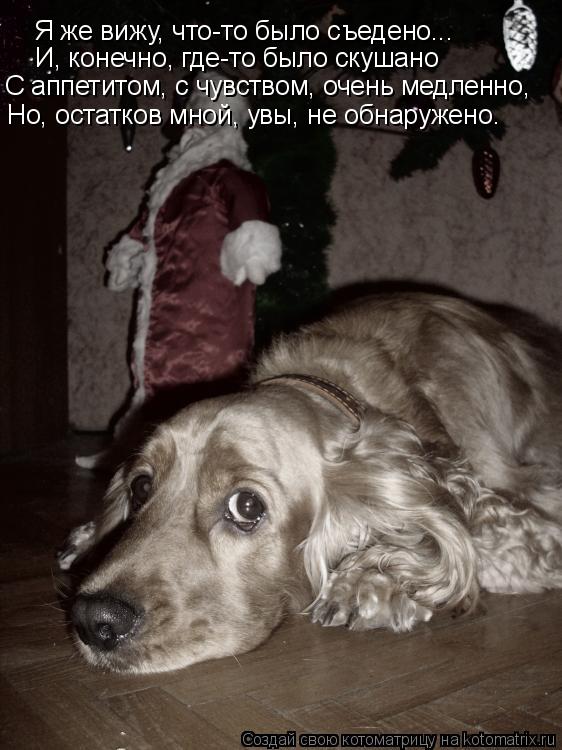 Котоматрица: Я же вижу, что-то было съедено... И, конечно, где-то было скушано С аппетитом, с чувством, очень медленно,  Но, остатков мной, увы, не обнаружено