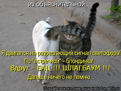 из объяснительной. Я двигался на разрешающий сигнал светофора! По "встречной" - блондинка! Вдруг - БА... Котоматрица: из объяснительной. Я двигался на разрешающий сигнал светофора! По "встречной" - блондинка! Вдруг - БАЦ !!! ШЛАГБАУМ !!! Дальше ничего не помню...