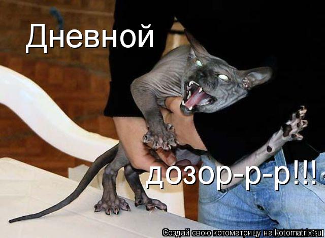 Котоматрица: Дневной дозор-р-р!!!