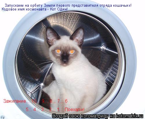 Котоматрица: Запускаем на орбиту Земли первого представителя отряда кошачьих!  Кодовое имя космонавта - Кот Один! Зажигание... 10... 9... 8... 7... 6 5... 4... 3..