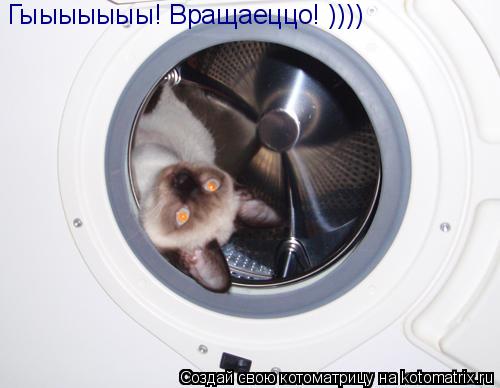Котоматрица: Гыыыыыыы! Вращаеццо! ))))