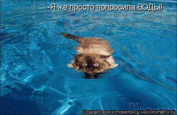 Котоматрица: -Я же просто попросила ВОДЫ!