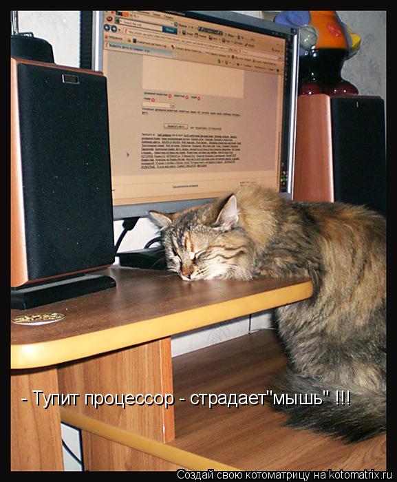 - Тупит процессор - страдает"мышь" !!!... Котоматрица: - Тупит процессор - страдает"мышь" !!!