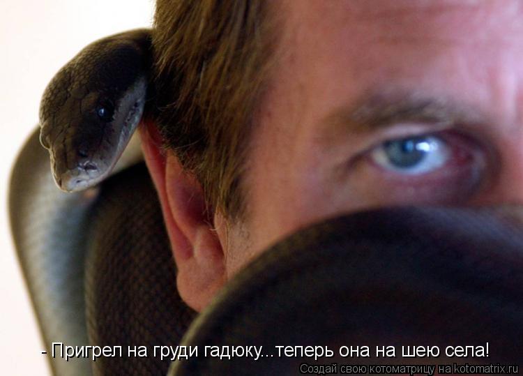 - Пригрел на груди гадюку...теперь она на шею села!... Котоматрица: - Пригрел на груди гадюку...теперь она на шею села!