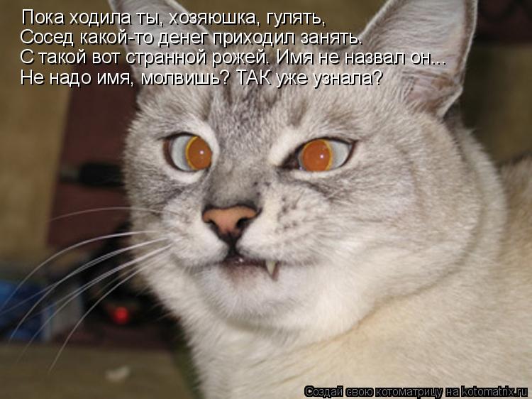 Котоматрица: Пока ходила ты, хозяюшка, гулять, Сосед какой-то денег приходил занять. С такой вот странной рожей. Имя не назвал он... Не надо имя, молвишь? ТА