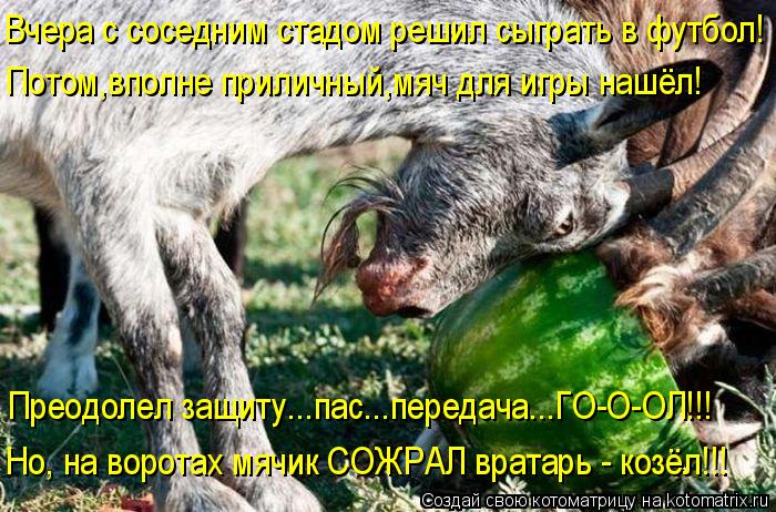Потом,вполне приличный,мяч для игры нашёл! Вчера с соседним стадом решил сыграть в футбол! Преодолел ... Котоматрица: Потом,вполне приличный,мяч для игры нашёл! Вчера с соседним стадом решил сыграть в футбол! Преодолел защиту...пас...передача...ГО-О-ОЛ!!! Но, на