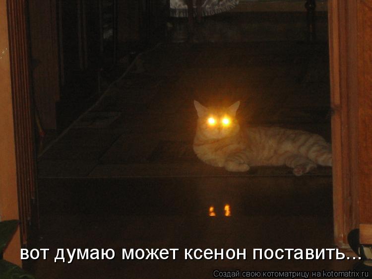 Котоматрица: вот думаю может ксенон поставить...