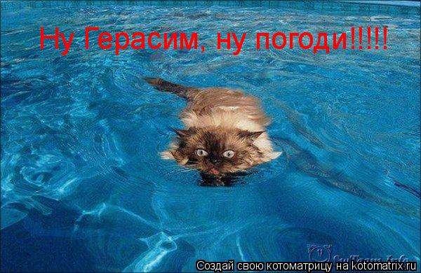 Котоматрица: Ну Герасим, ну погоди!!!!!