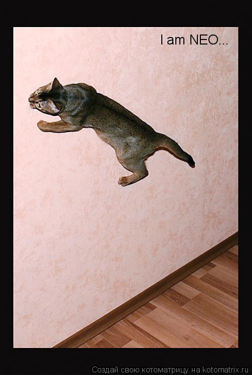 Котоматрица: I am NEO...