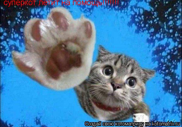 Котоматрица: суперкот летит на помощь!!!!!!!