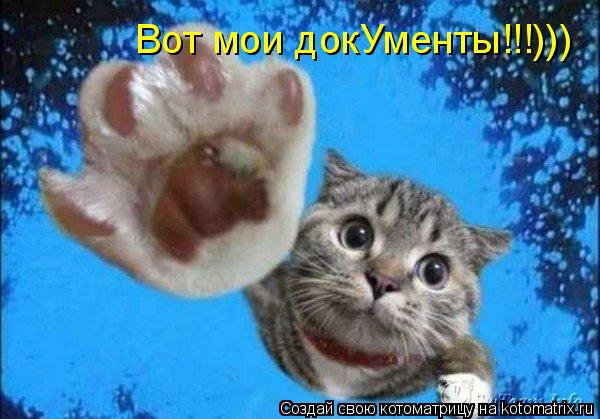 Котоматрица: Вот мои докУменты!!!))) Вот мои докУменты!!!)))