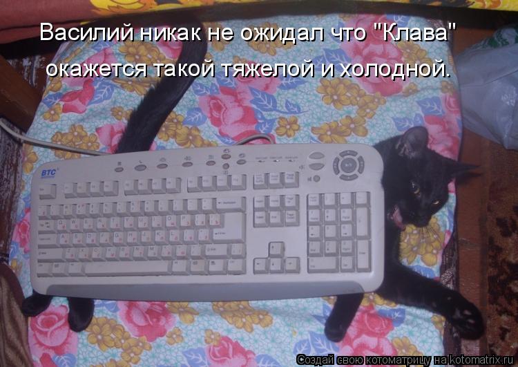 Василий никак не ожидал что "Клава" окажется такой тяжелой и холодной.... Котоматрица: Василий никак не ожидал что "Клава" окажется такой тяжелой и холодной.