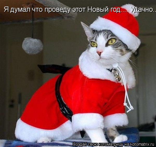 Котоматрица: Я думал что проведу этот Новый год.... Удачно.... а получилось