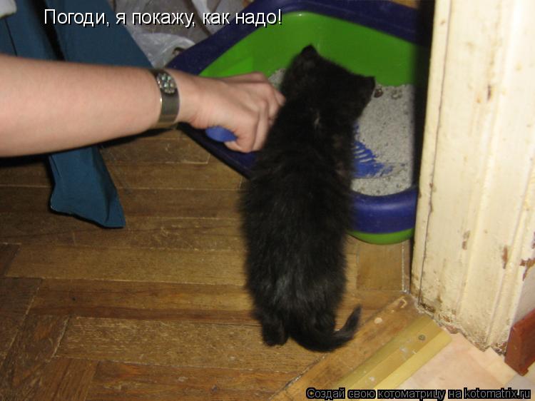 Котоматрица: Погоди, я покажу, как надо!