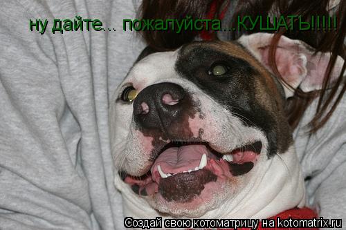 Котоматрица: ну дайте... пожалуйста...КУШАТЬ!!!!!