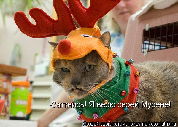 -Заткнись! Я верю своей Мурёне!... Котоматрица: -Заткнись! Я верю своей Мурёне!