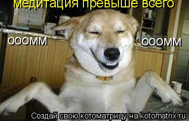 Котоматрица: ооомм медитация превыше всего ооомм