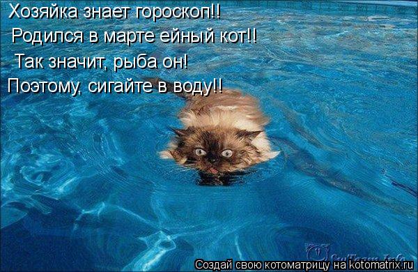 Котоматрица: Хозяйка знает гороскоп!!  Родился в марте ейный кот!!  Так значит, рыба он! Поэтому, сигайте в воду!!