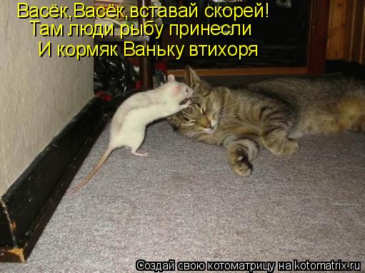 Котоматрица: Васёк,Васёк,вставай скорей! Там люди рыбу принесли И кормяк Ваньку втихоря