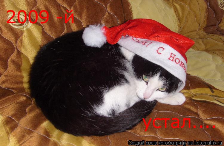 Котоматрица: 2009 -й устал....