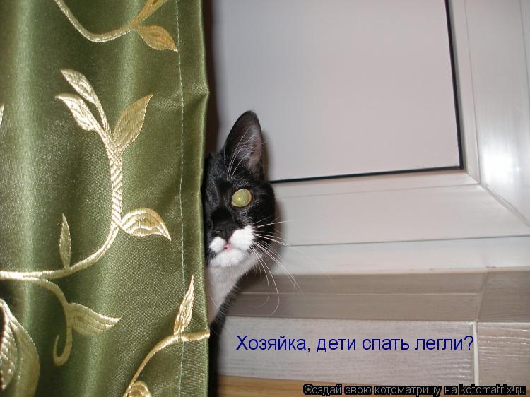 Котоматрица: Хозяйка, дети спать легли?