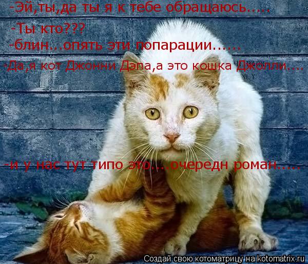 Котоматрица: -Эй,ты,да ты я к тебе обращаюсь..... -Ты кто??? -блин...опять эти попарации...... -Да,я кот Джонни Дэпа,а это кошка Джолли.... -и у нас тут типо это..