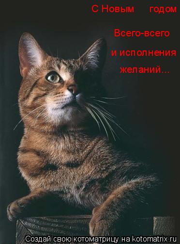 Котоматрица: С Новым     годом Всего-всего и исполнения желаний...