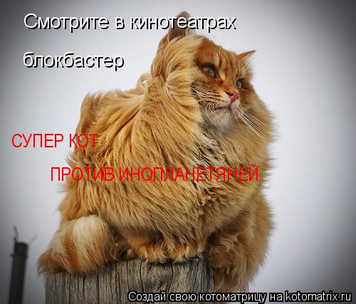 Котоматрица: Смотрите в кинотеатрах блокбастер СУПЕР КОТ ПРОТИВ ИНОПЛАНЕТЯНЕЙ