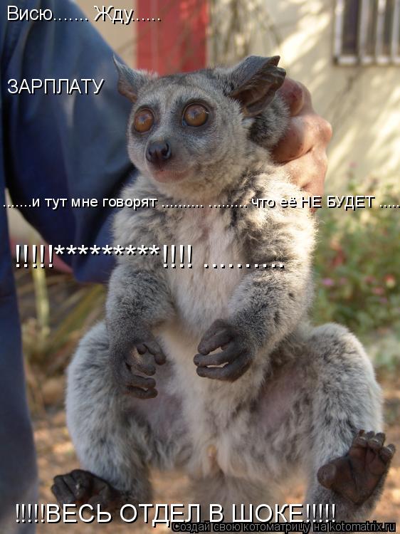 Котоматрица: Висю....... Жду...... ЗАРПЛАТУ .......и тут мне говорят .......... ......... что её НЕ БУДЕТ .......... !!!!!*********!!!! .......... !!!!!ВЕСЬ ОТДЕЛ 