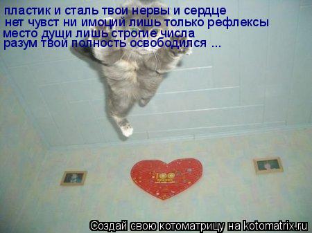 Котоматрица: пластик и сталь твои нервы и сердце нет чувст ни имоций лишь только рефлексы место души лишь строгие числа разум твой полность освободился 