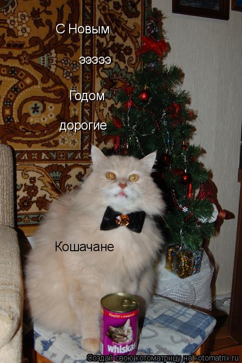 Котоматрица: С Новым эээээ Годом дорогие Кошачане