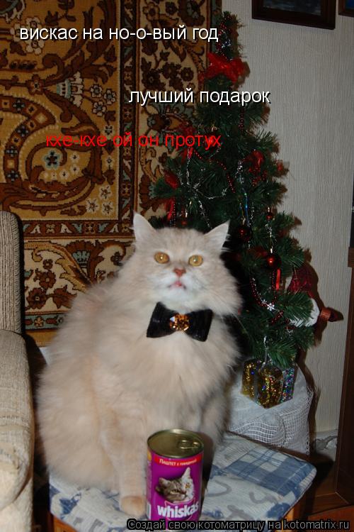 Котоматрица: вискас на но-о-вый год лучший подарок  кхе-кхе ой он протух