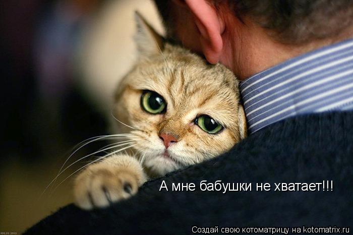 Котоматрица: А мне бабушки не хватает!!!