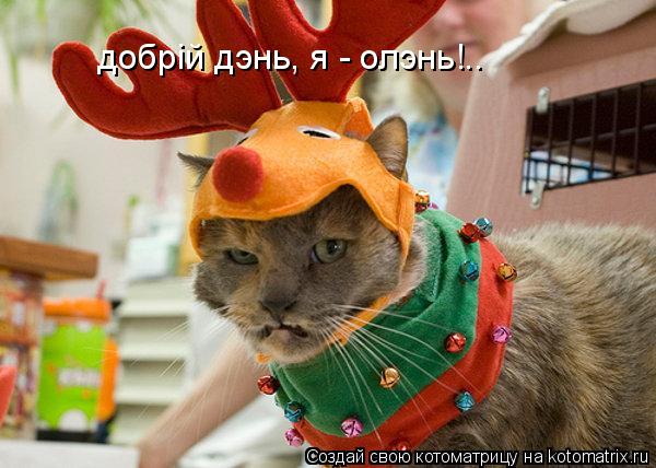 Котоматрица: добрiй дэнь, я - олэнь!..