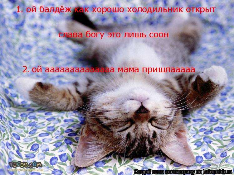Котоматрица: ой аааааааааааааа мама пришлааааа слава богу это лишь соон ой балдёж как хорошо холодильник открыт 1. 2.