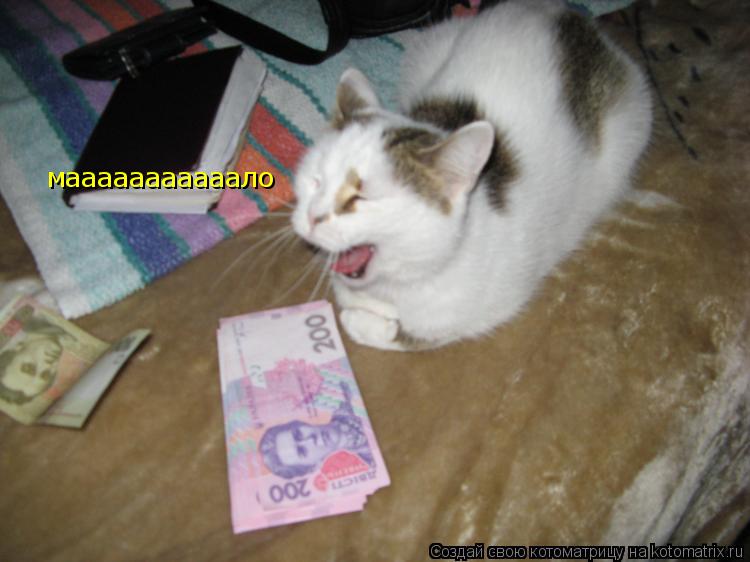 Котоматрица: мааааааааааало