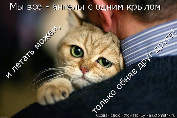 Котоматрица: Мы все - ангелы с одним крылом  и летать можем,  только обняв друг друга!