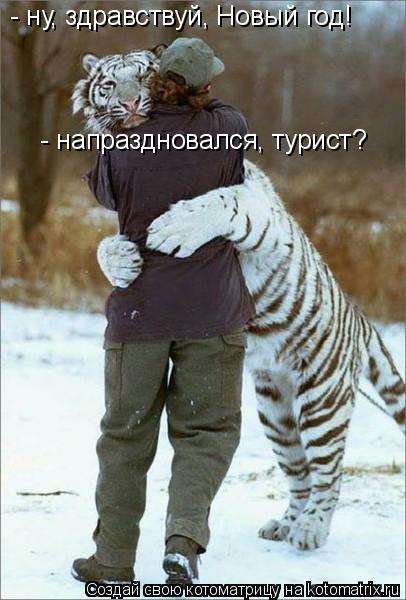 Котоматрица: - ну, здравствуй, Новый год!  - напраздновался, турист?